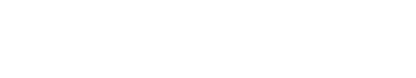 BroadTree Partners